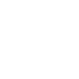 blueprint